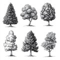 Collection of hand-drawn tree illustrations in various styles Royalty Free Stock Photo