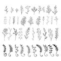 Collection of hand drawn vector florals and branches with leaves Royalty Free Stock Photo
