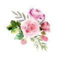 A collection of hand painted watercolor flowers roses