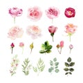 A collection of hand painted watercolor flowers roses