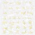 Collection of hand sketched ampersands and catchwords for your design