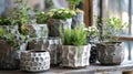 A collection of handbuilt ceramic planters each with a different texture imprinted on the surface giving them a