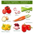 Colorful Vegetables - Collection 1 - Handpainted watercolor illustrations Royalty Free Stock Photo