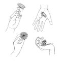 Collection of hands holding blooming flowers. Bundle of floral decorative design elements isolated on white background