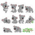 Collection of happy koala with various posing