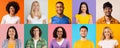 Collection of happy multiracial young people portraits on studio backgrounds Royalty Free Stock Photo