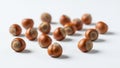 A collection of hazelnuts (Corylus avellana) scattered on a light surface Royalty Free Stock Photo