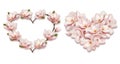 Collection of hearts collected from pink magnolia flowers isolated on a transparent background. Royalty Free Stock Photo