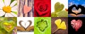 Collection of hearts, love valentines day concept