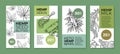 Collection hemp product vertical stories poster vector illustration. Food with natural ingredients