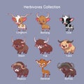 Collection of herbivores with name text