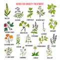 Collection of herbs for anxiety treatment Royalty Free Stock Photo