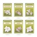 Collection of herbs labels