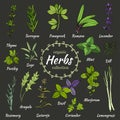 Collection of herbs.