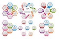 Collection of hexagon colorful infographics. Design elements.