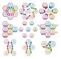 Collection of hexagon colorful infographics. Design elements.