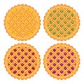 Collection of homemade fruit and berry pies. vector