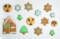 Collection of homemade handmade gingerbread cookies with glaze painting. Isolated. Royalty Free Stock Photo