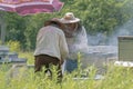 Collection of honey in the apiary