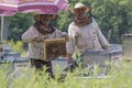 Collection of honey in the apiary