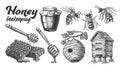 Collection Honey Beekeeping Apiary Set Vector