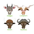 Collection of horned animal species