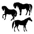 collection of horse silhouette set Royalty Free Stock Photo