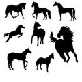 A collection of Horse vectors