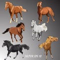 Collection horses of Different Breeds. Vector isolated horses on gradient background