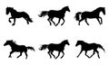 Collection of horses silhouettes set on white background Royalty Free Stock Photo