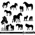 Collection of hourse silhouettes, horse breeding.