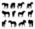 Collection of hourse silhouettes, horse breeding.