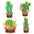 A collection of houseplants in pots. Cacti, euphorbia, Mammillaria with flowers. Lovely hobby for collectors of cacti. Home and