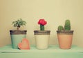 Collection of houseplants with wooden heart