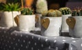 collection of houseplants with wooden heart on the polka dot tab