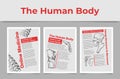 Collection human body anatomy online medicine poster vector engraved illustration