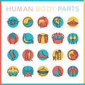 collection of human body parts. Vector illustration decorative design Royalty Free Stock Photo