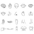 collection of human body parts. Vector illustration decorative design Royalty Free Stock Photo
