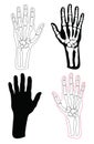Collection of human hands and bones Royalty Free Stock Photo