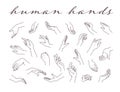 Collection of human hands in different gestures and posses isolated on white background.