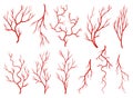 Collection of human veins. Red silhouette vessels, arteries or capillaries on white background. Concept anatomy element