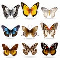 Vividly Bold Butterflies: Hyper-realistic Animal Illustrations On White Background