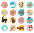 Collection of Icons with Cat in Flat Design