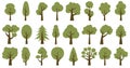 Collection of illustrations of trees. Can be used to illustrate any nature or healthy lifestyle theme