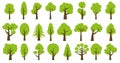 Collection of illustrations of trees. Can be used to illustrate any nature or healthy lifestyle theme