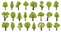 Collection of illustrations of trees. Can be used to illustrate any nature or healthy lifestyle theme