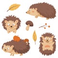 Collection of images of cute children of forest hedgehogs with apples and mushrooms in needles. A twig with berries and
