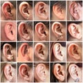 Images of human ears collage