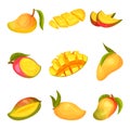 Collection of images of mango. Vector illustration on white background. Royalty Free Stock Photo