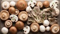 The collection includes brown and white button mushrooms Agaricus Royalty Free Stock Photo